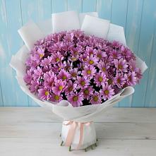 Букет цветов из:  Хризантемы в Сосново-Озерском