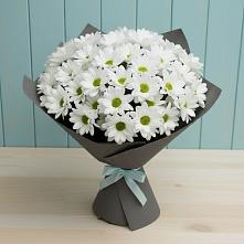 Букет цветов из:  Хризантемы #REPLACE_PRED# Сосново-Озерском